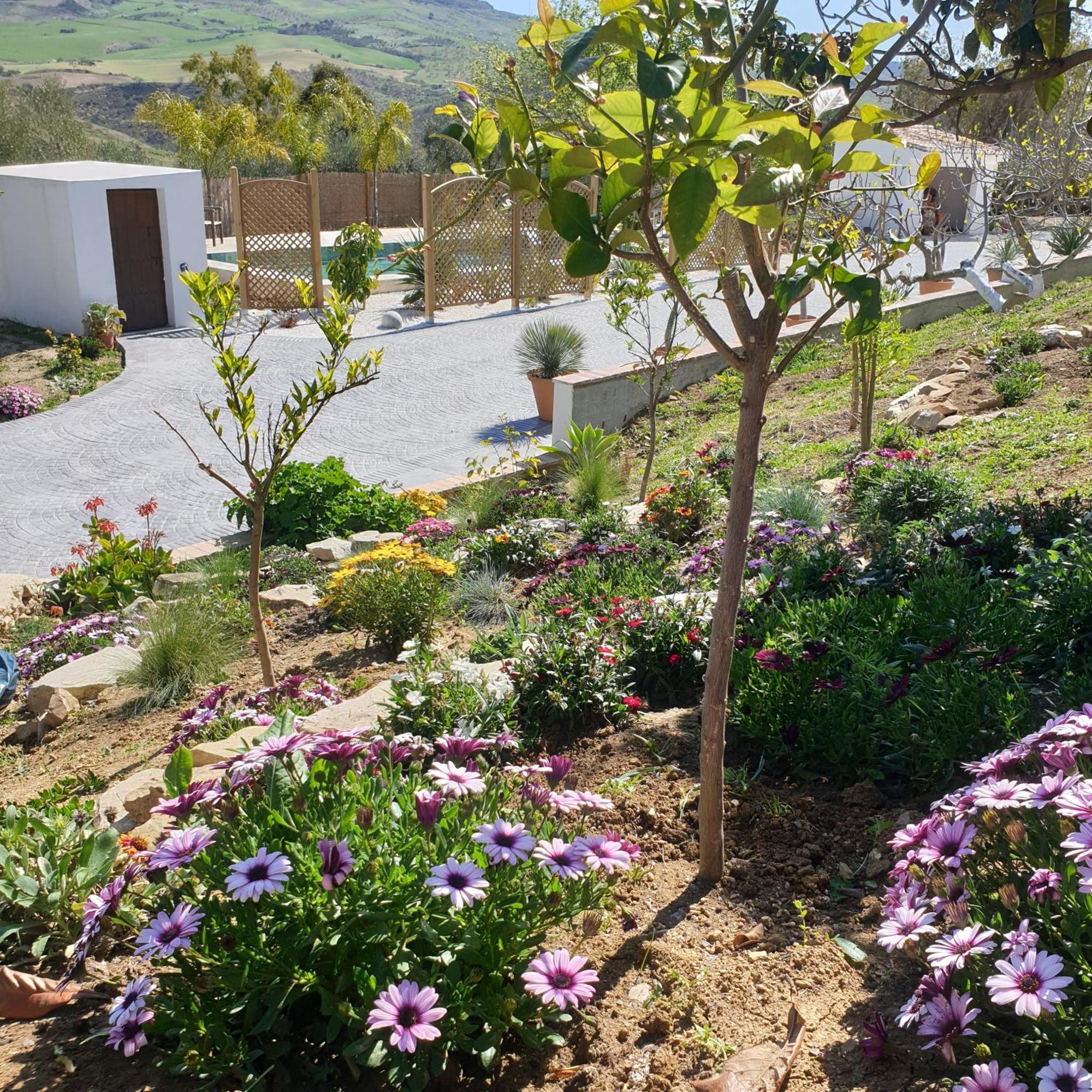 Finca Altozano - Private Pool - Unique Client Valle de Abdalagis ภายนอก รูปภาพ