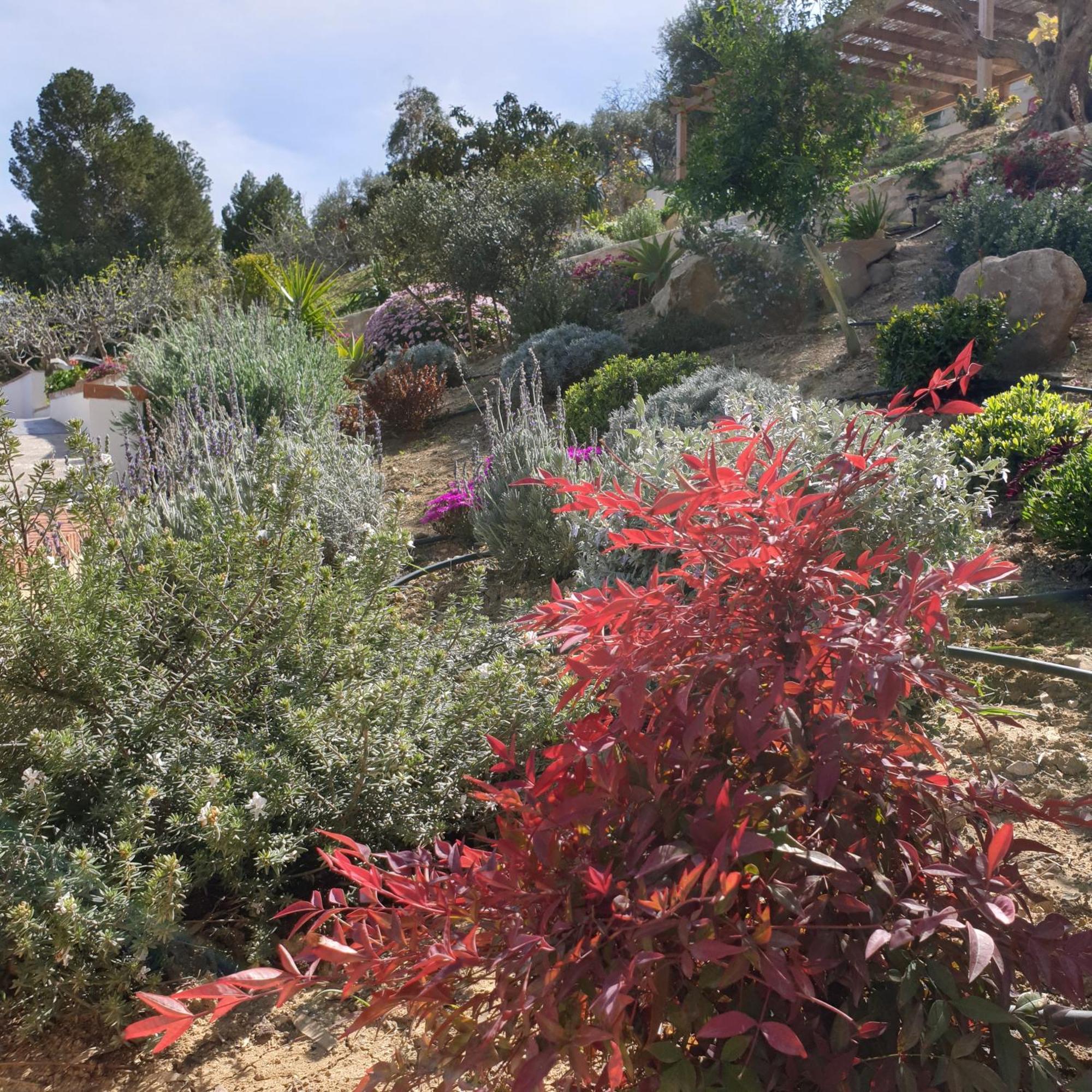 Finca Altozano - Private Pool - Unique Client Valle de Abdalagis ภายนอก รูปภาพ