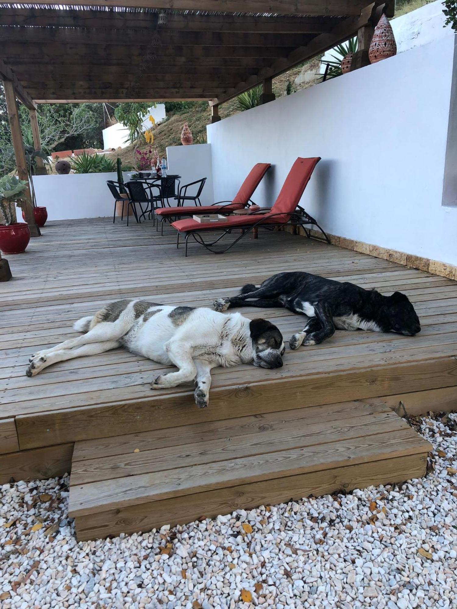 Finca Altozano - Private Pool - Unique Client Valle de Abdalagis ภายนอก รูปภาพ
