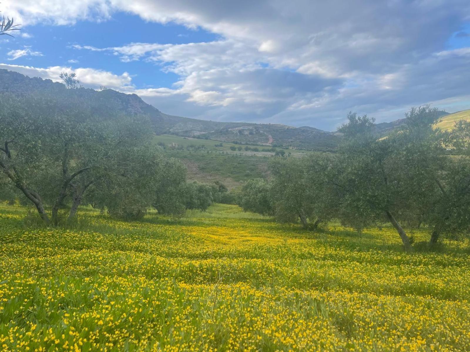 Finca Altozano - Private Pool - Unique Client Valle de Abdalagis ภายนอก รูปภาพ